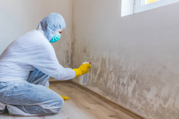 Hvac And Air Duct Mold Remediation inspection of HVAC system in Conklin